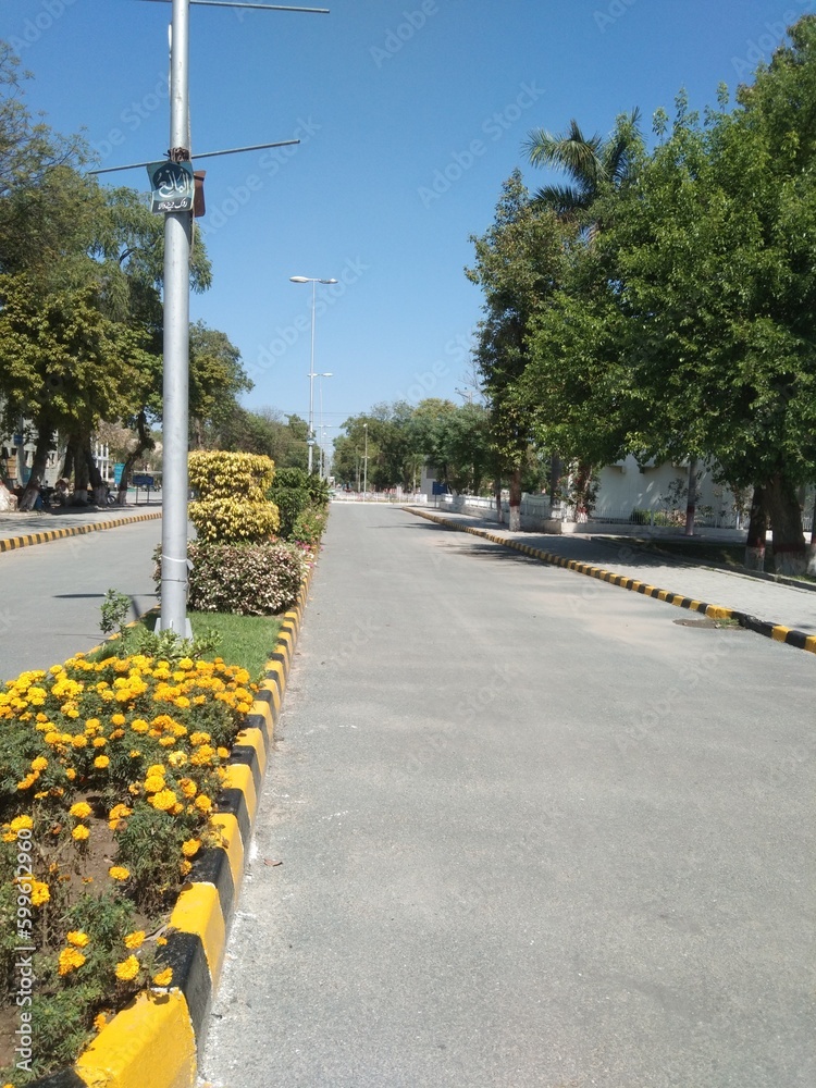 Road with flower bed.