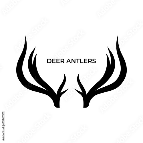 Deer antlers. Silhouette of the horns of a wild elk, roe or red deer on a white background