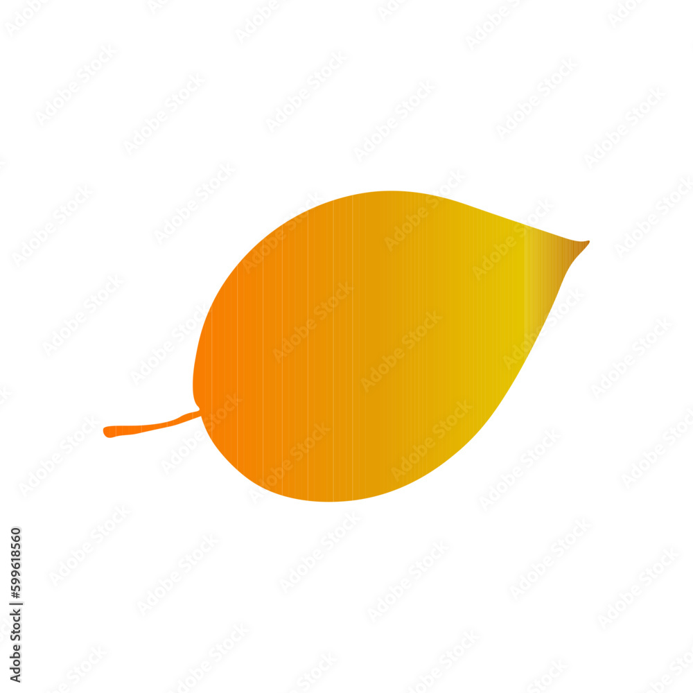 autumn leaf color autumn leaf color