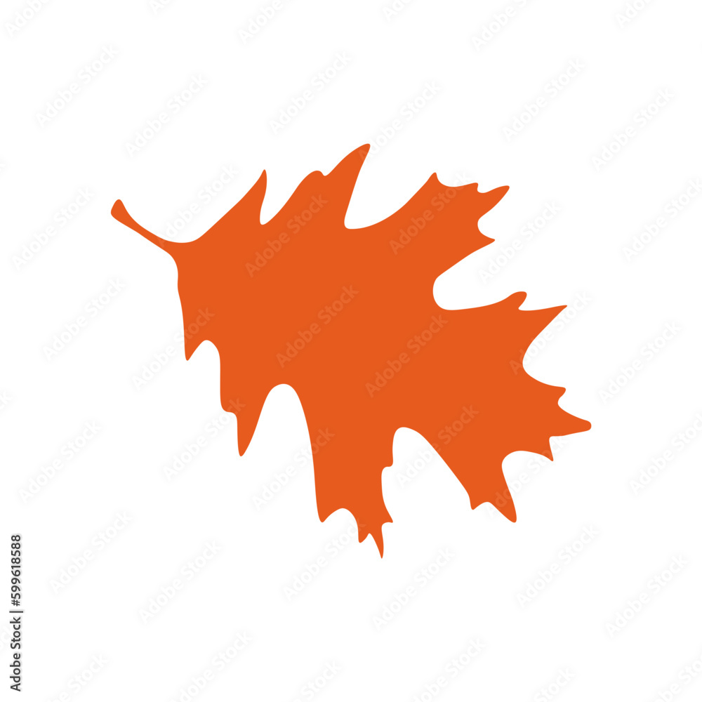 autumn leaf color autumn leaf color