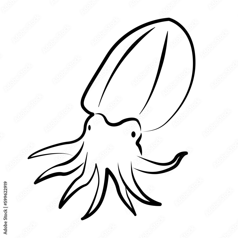 Cuttlefish. Сephalopod, related to squid and octopus. Ink black and white doodle drawing in woodcut style with inscription Cuttlefish. Сephalopod, related to squid and octopus. Ink black and white doodle drawing in woodcut style with inscription