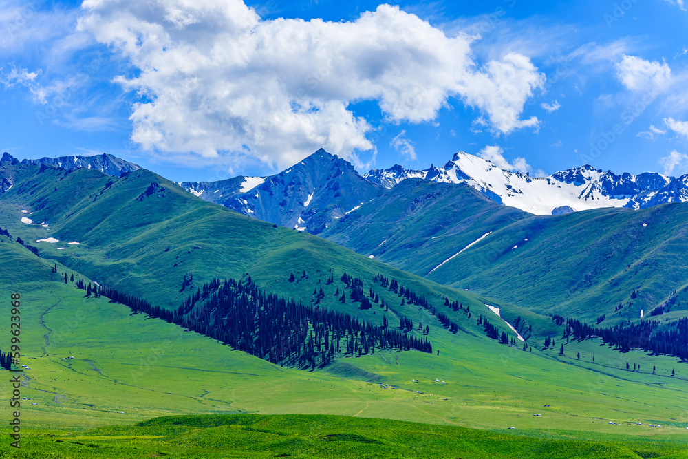 Green grassland and mountain natural landscape in Xinjiang, China.