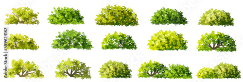 Vector watercolor green tree or grass side view isolated on white background for landscape and architecture drawing,elements for environment or garden,botanical element for exterior section in spring