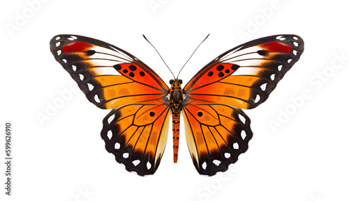 Butterfly isolated on transparent background. 3D render.