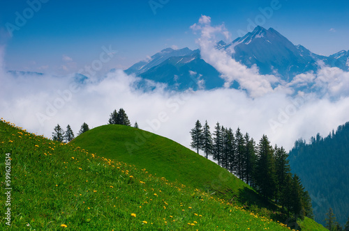 Green alpine meadows and mountain peaks in Swiss alps