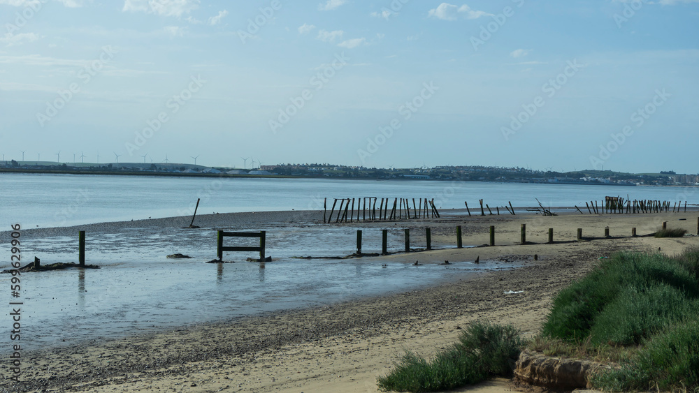 mouth of the guadalquivir river in doñana