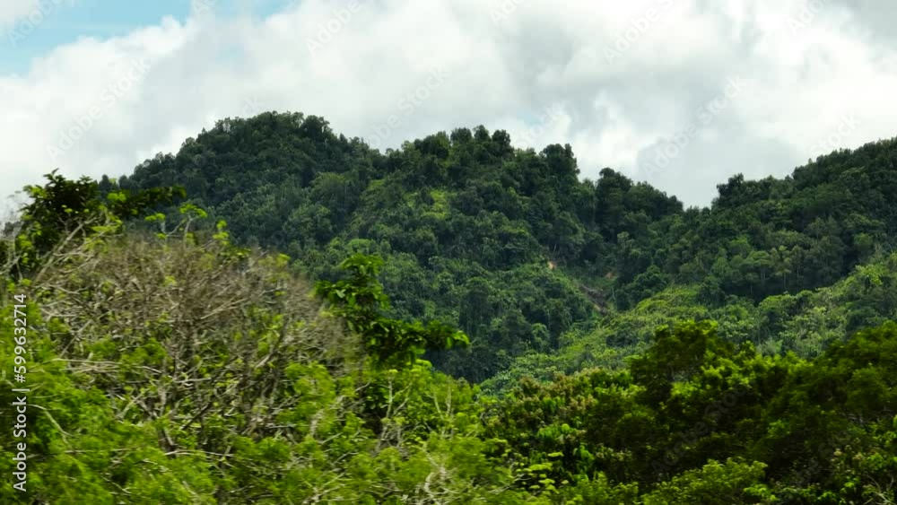 Aerial drone of lowland rainforest and jungle. Borneo, Malaysia. Aerial drone of lowland rainforest and jungle. Borneo, Malaysia.