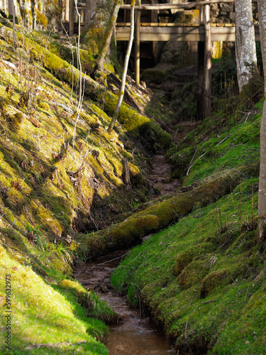 Spring in nature. Decorated Latvian nature walking trail, the river flows in the forest and park, among stones, moss and trees. Fallen old trees on the ground and in the water