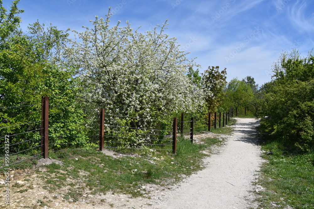 Kraków, Zakrzówek, Skałki Twardowskiego, woda, wyrobisko, dawny kamieniołom,