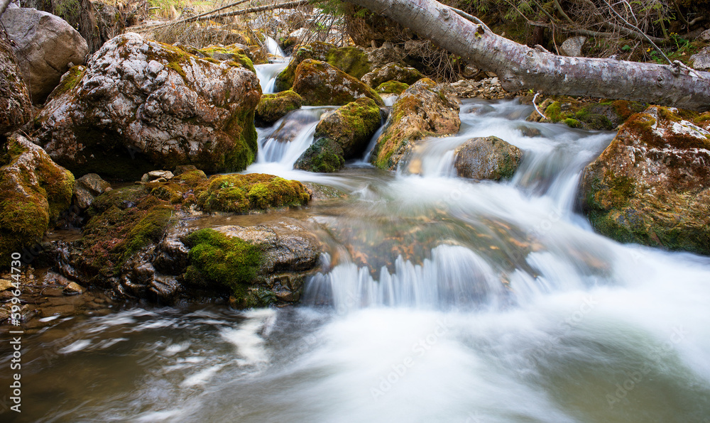 splendide lunghe esposizioni dell'acqua in questo torrente di montagna con sassi coperti di bel muschio verde, torrente nelle dolomiti