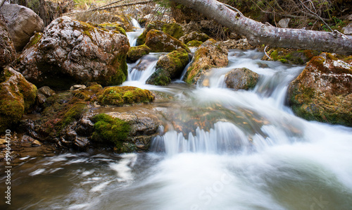 splendide lunghe esposizioni dell acqua in questo torrente di montagna con sassi coperti di bel muschio verde  torrente nelle dolomiti