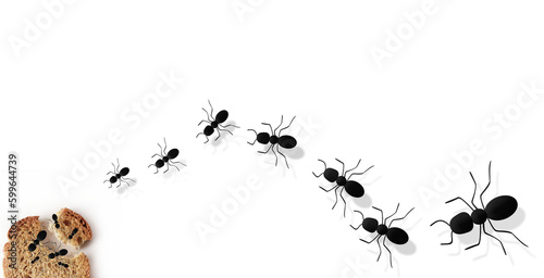 Many ants on a white background. Ants eat bread. Food for insects. © Hit Stop Media