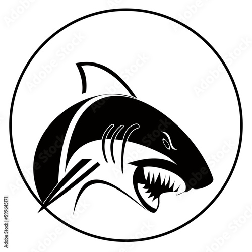 Shark vector icon. The animal symbol for the logo