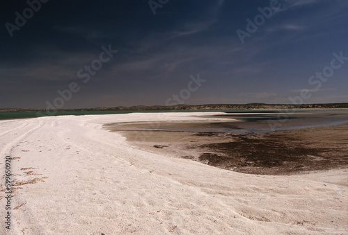 Shell Beach  Western Australia 
