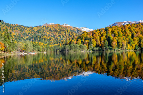 Natural life and autumn landscapes in Rize, Artvin, Savsat highlands