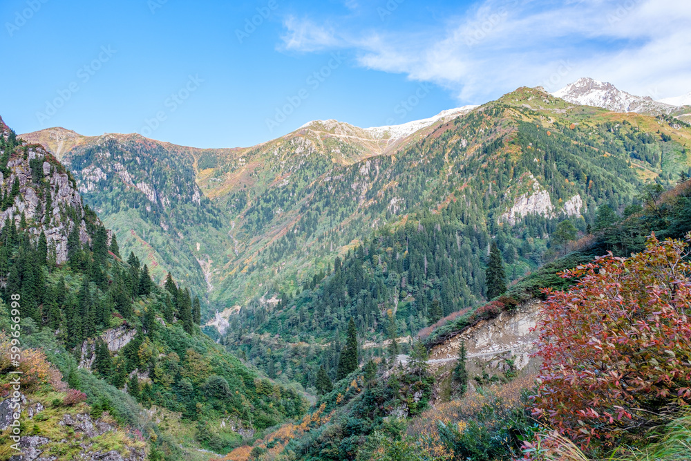 Naklejka premium Natural life and autumn landscapes in Rize, Artvin, Savsat highlands