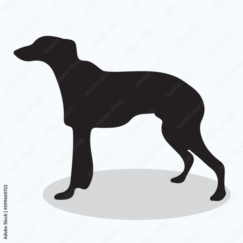 Whippet silhouettes and icons. Black flat color simple elegant Whippet animal vector and illustration.