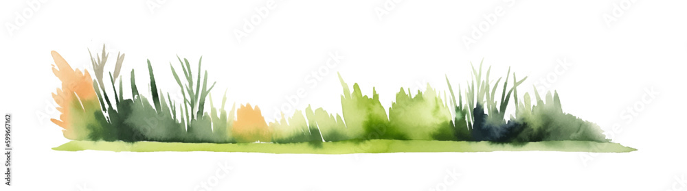 Naklejka premium Watercolor line of green grass., isolated on white background. Horizontal bar element, divider, separator, footer for your design. Vector illustration.