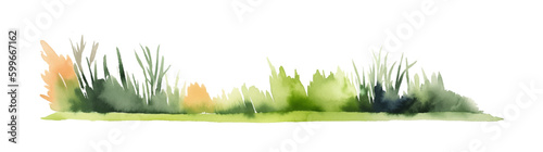 Watercolor line of green grass., isolated on white background. Horizontal bar element, divider, separator, footer for your design. Vector illustration.