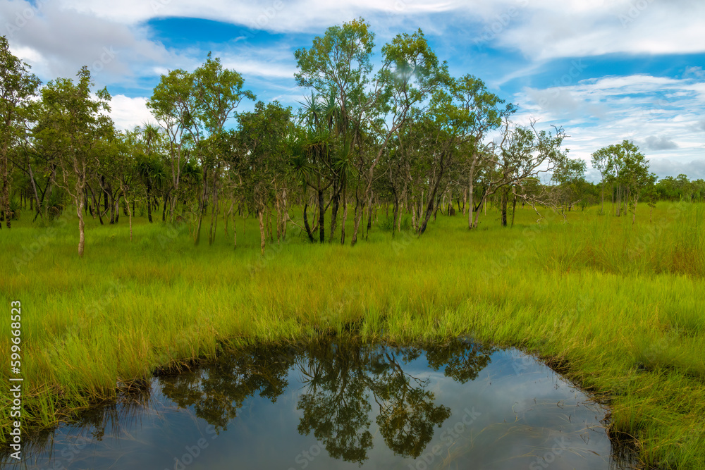 Dramatic scenery of the yellow Water Billabong, Kakadu National Park, Northern Territory, Australia Dramatic scenery of the yellow Water Billabong, Kakadu National Park, Northern Territory, Australia