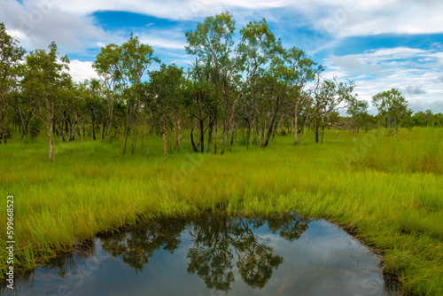 Dramatic scenery of the yellow Water Billabong  Kakadu National Park  Northern Territory  Australia