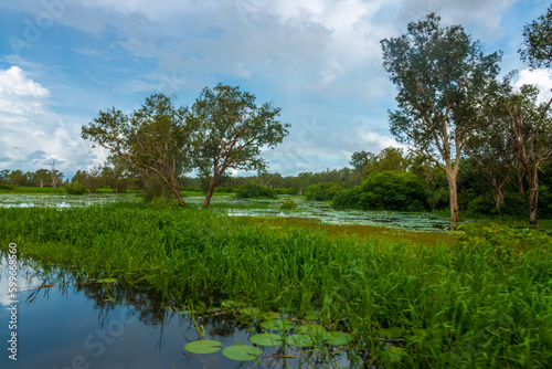 Dramatic scenery of the yellow Water Billabong, Kakadu National Park, Northern Territory, Australia