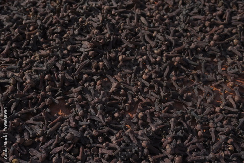 The traditional process of drying cloves in the sun on the ground. Tropical plants, producing and export scented herbs and aromatic oil in Indonesia. Dark brown dry cloves. Commodity from Indonesia.