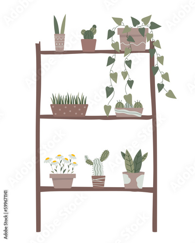 Flat ilustration potted century plants in garden, Wooden shelf next to a gray wall with different plants on top, stylish wooden shelves with green plants, cactus plants in flowerpots