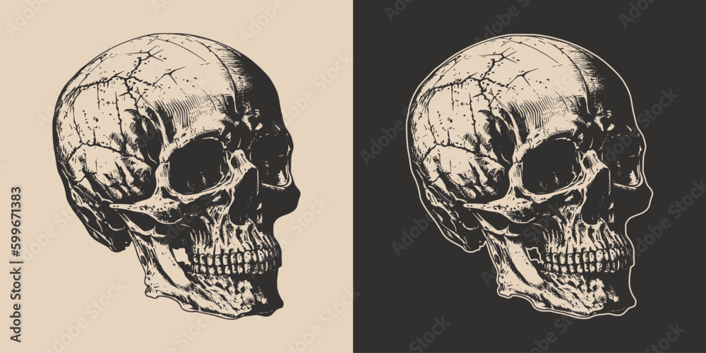 Set of vintage retro scary skull. Can be used like emblem, logo, badge, label. mark, poster or print. Monochrome Graphic Art. Vector. Hand drawn element in engraving