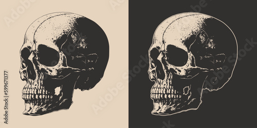 Set of vintage retro scary skull. Can be used like emblem, logo, badge, label. mark, poster or print. Monochrome Graphic Art. Vector. Hand drawn element in engraving