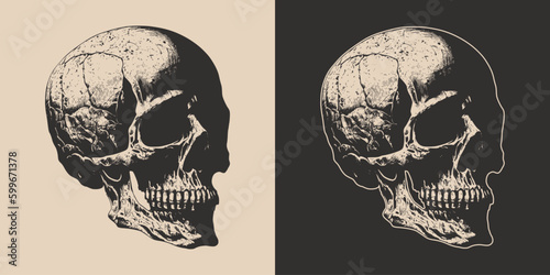 Set of vintage retro scary skull. Can be used like emblem, logo, badge, label. mark, poster or print. Monochrome Graphic Art. Vector. Hand drawn element in engraving