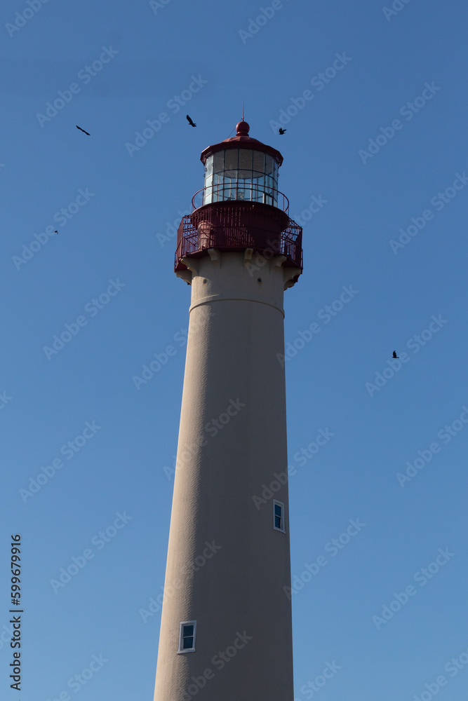 I loved the look of Cape May point lighthouse with these birds flying around it. The red top of this structure with the white tower looked beautiful with the blue sky in the background.