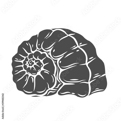 Sea shell glyph icon vector illustration. Stamp of marine gastropod mollusc with swirl conch, animal shellfish with shell of spiral shape, ancient fossil seashell from bottom of ocean or beach