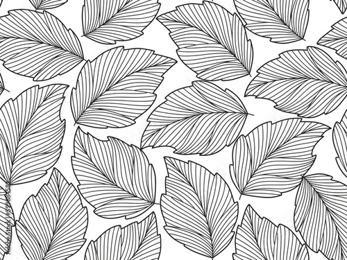 Seamless floral abstract background with  leaves drawn by thin lines. White  background with black leaves, monochrome.Vector floral  pattern