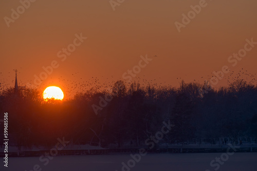 Huge red sun is setting over the beautiful natural landscape of snowy city park with many crows flying over the frosted trees, orange colorful sky and a frozen blue ice pond. Winter landscape at dawn