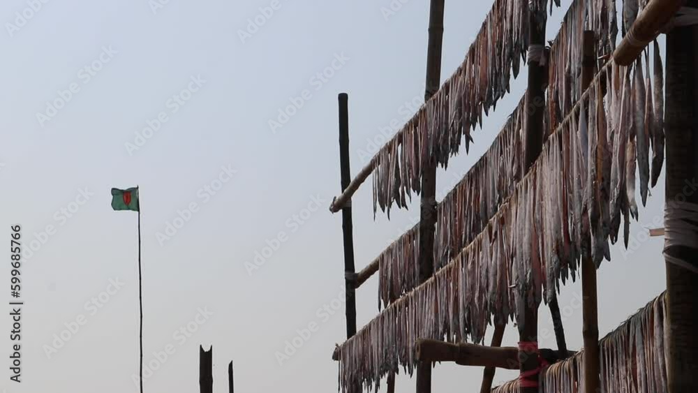 Fish Drying Bamboo Racks Icon Raw ribbon fish are hung on bamboo racks to dry in the sea air and open ...