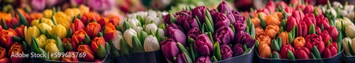 illustration,colorful tulips website header, generative ai