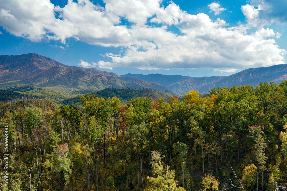 View of smoky mountain landscape during fall overlooking a valley in east Tennessee. Trees have vibrant fall colors under bright blue sky with puffy white clouds.