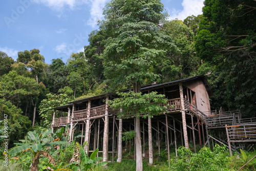 Tall and massive Orang Ulu cultural heritage wooden long house with the traditional sculpture on the pillar in front of a mountain under a sunny day in the rainforest of Kuching, Sarawak, Malaysia.