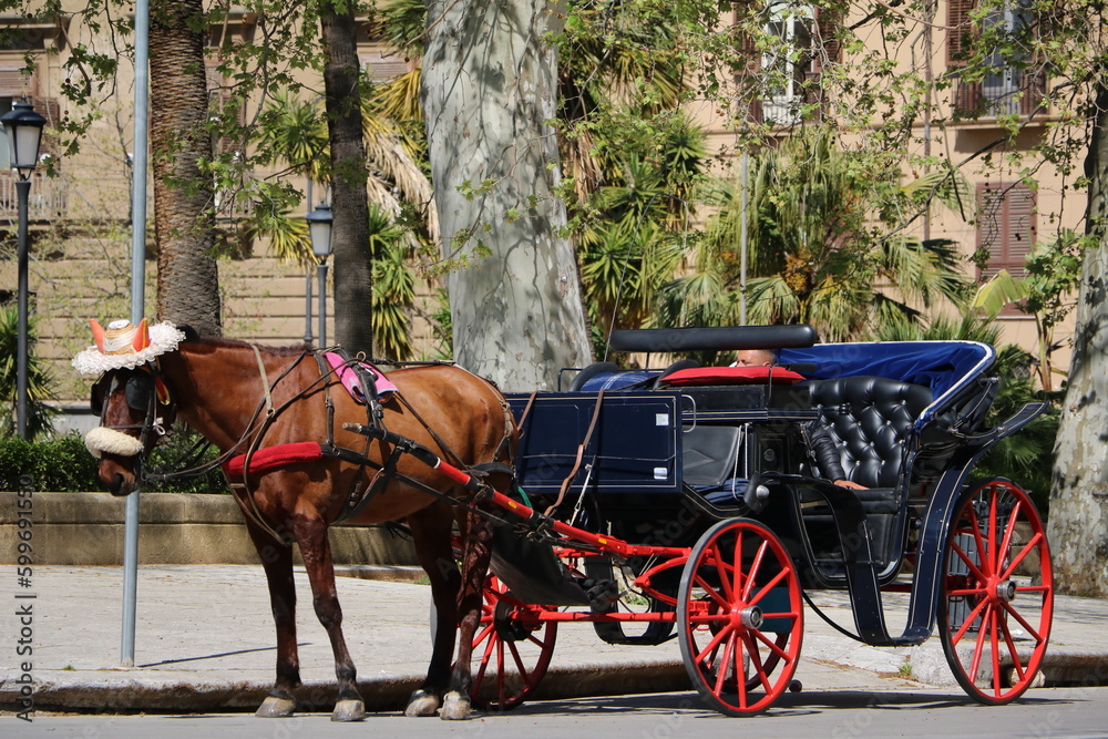 Historical horse-drawn carriage, Italy Historical horse-drawn carriage, Italy