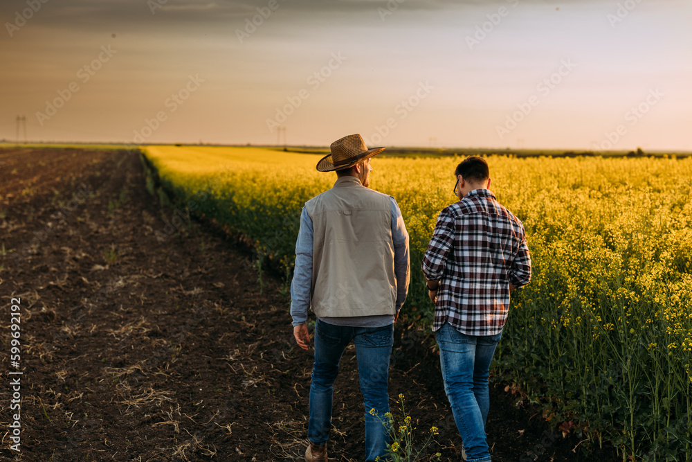 Back view of two Caucasian farmers walking across the field Stock Photo ...