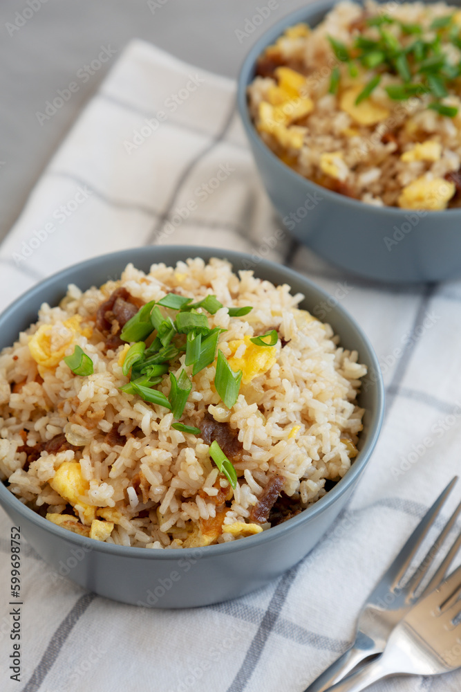 Homemade Fried Rice with Bacon and Egg in a Bowl, side view. Homemade Fried Rice with Bacon and Egg in a Bowl, side view.