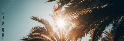 A blurry photo of a palm tree in the sun  generative ai
