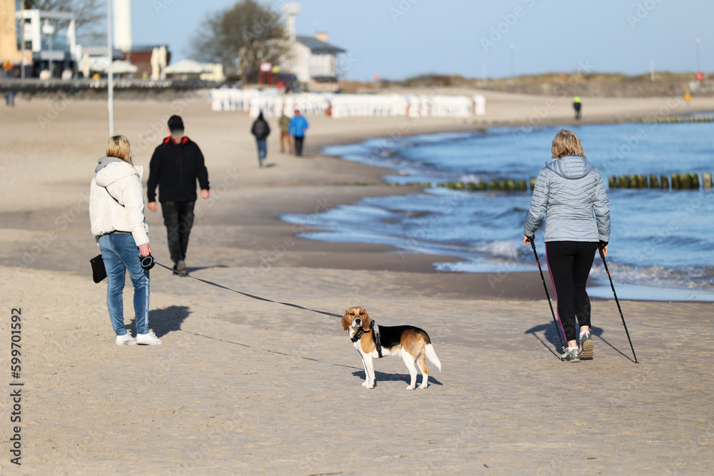 Fotka „Człowiek z psem na smyczy spaceruje po plaży nad morzem. “ ze