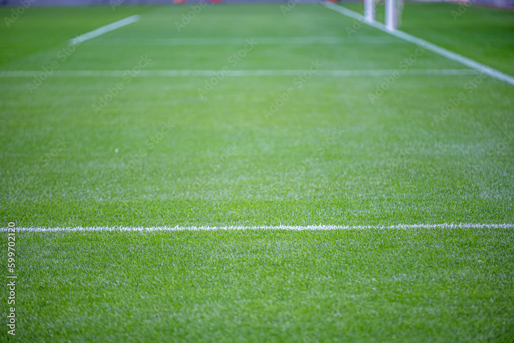 Green grass soccer field	