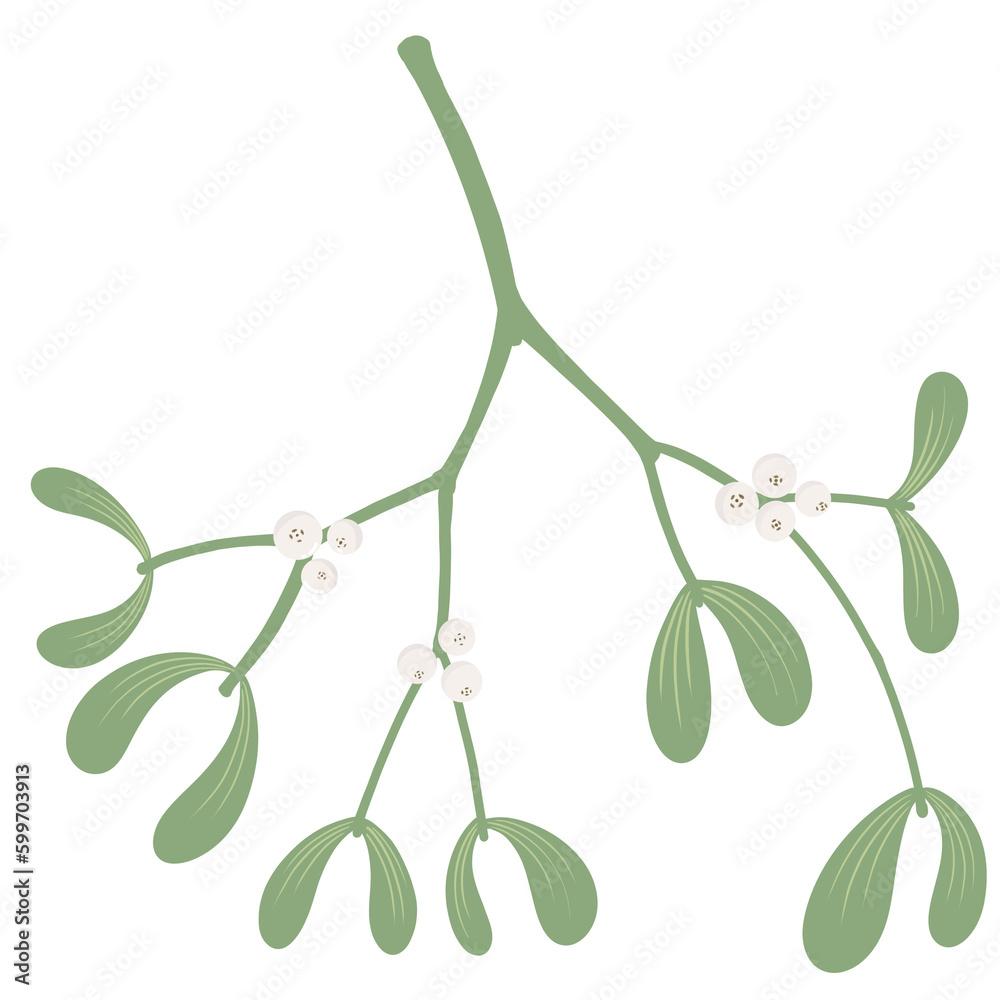 Branch of a mistletoe illustration. Christmas element. Branch of a mistletoe illustration. Christmas element.