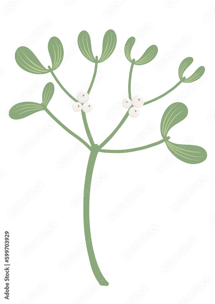 Branch of a mistletoe illustration. Christmas element. Branch of a mistletoe illustration. Christmas element.
