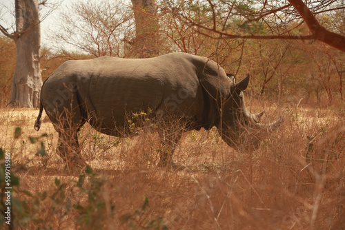 Traditional dance, sunset Beach Senegal Africa