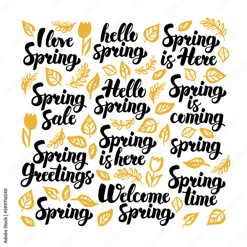Hello Spring Handwritten Lettering. Vector Illustration of Nature Calligraphy over White.