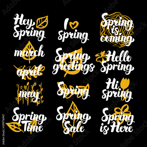 Spring Time Hand Drawn Quotes. Vector Illustration of Handwritten Lettering Nature Design Elements.